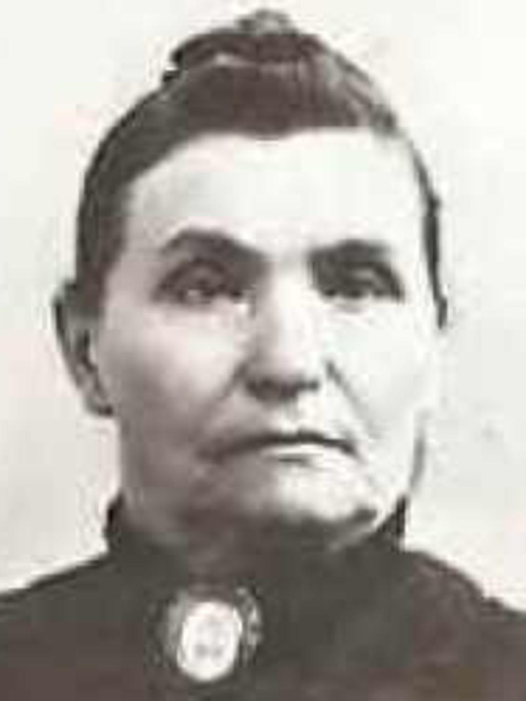Sarah Ambrosine Crockett (1833 - 1898) Profile